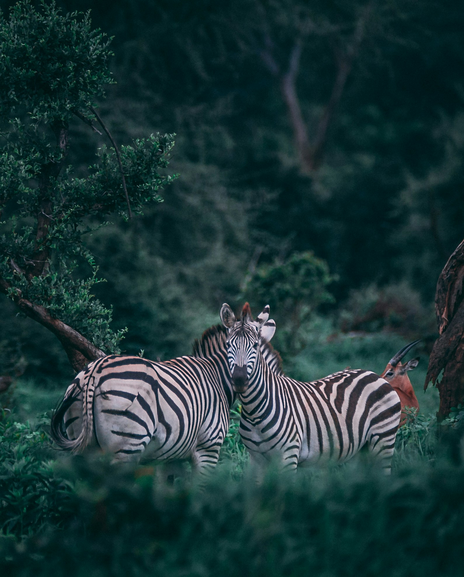 Creative Manner Design Lorem Ipsum Sit Amet Consectetur dipisi?